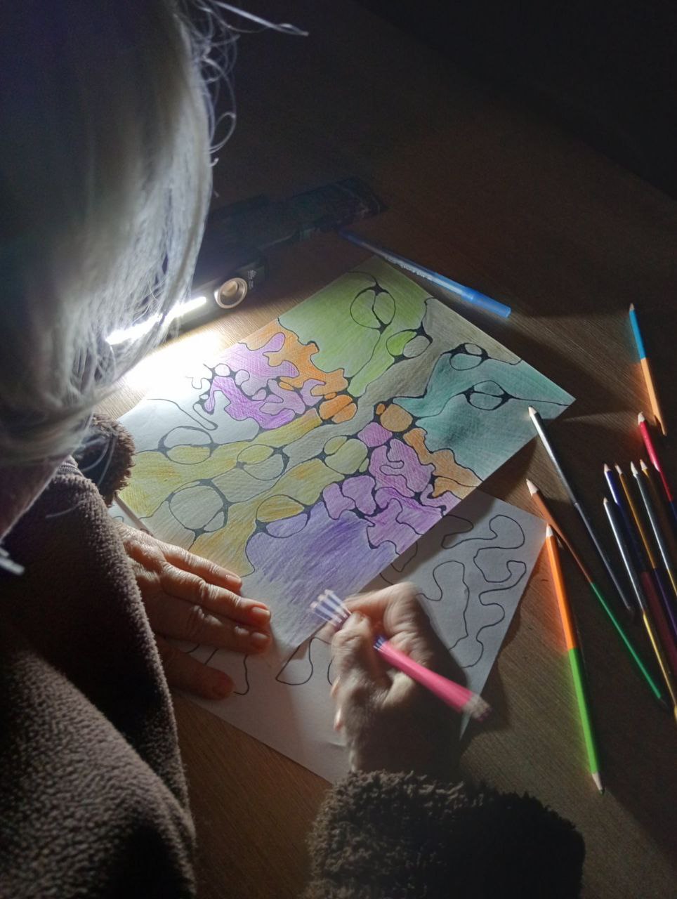 photo_2025-12-25_14-56-32 (2)